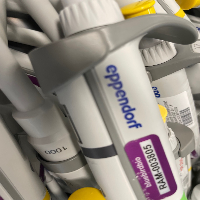 Lot Of Eppendorf Research Plus Single Channel Pipettes image 0